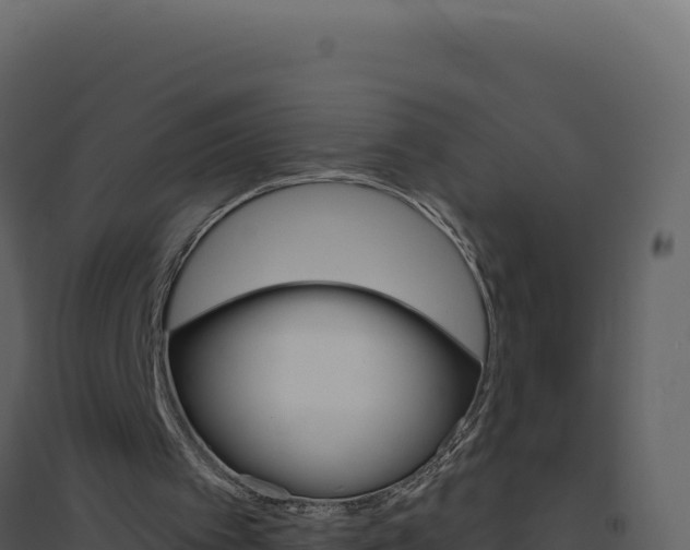 X0000094810097200711161014