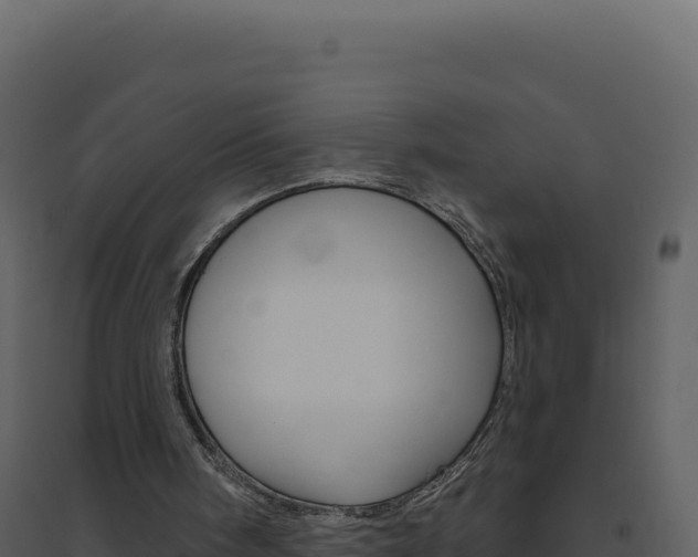X0000094810098200711161014