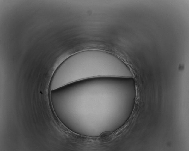 X0000094810099200711161014