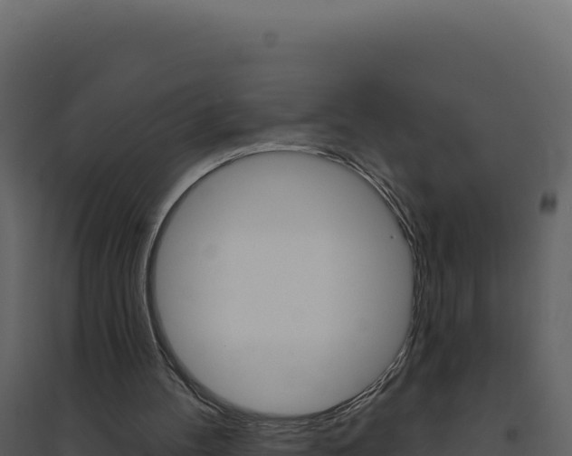 X0000094810100200711161014