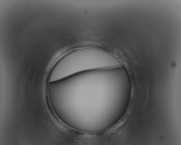 X0000094810101200711161014
