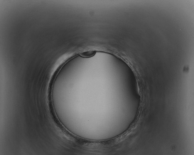 X0000094810104200711161014