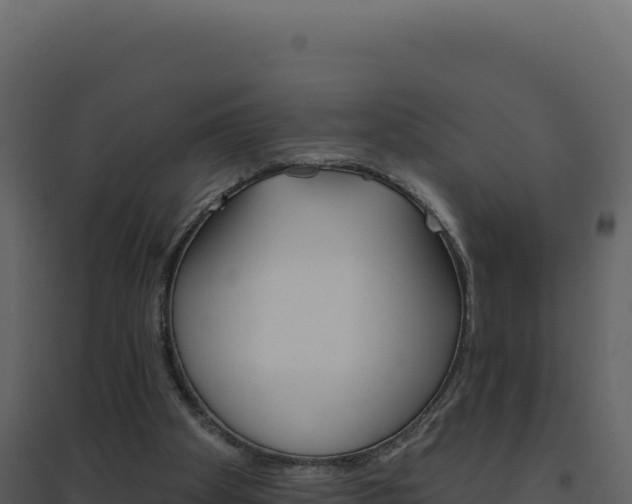 X0000094810105200711161014