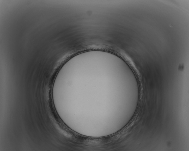 X0000094810106200711161014