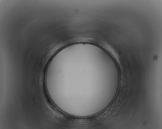 X0000094810107200711161013