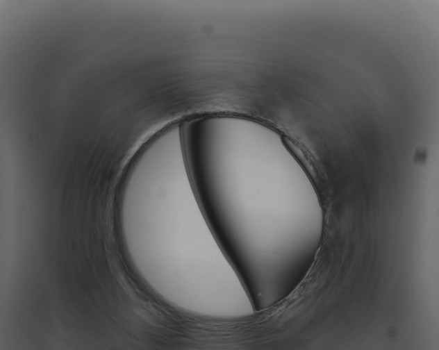 X0000094810108200711161013