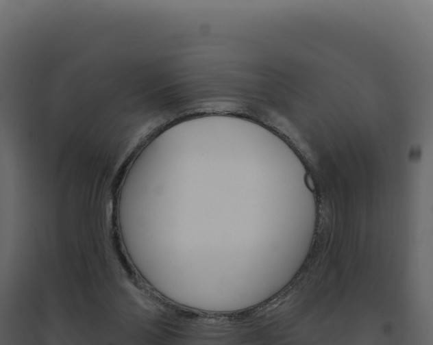 X0000094810110200711161013