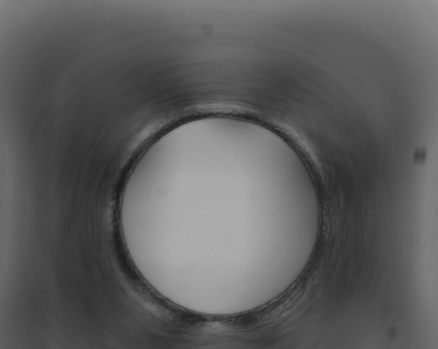 X0000094810111200711161013
