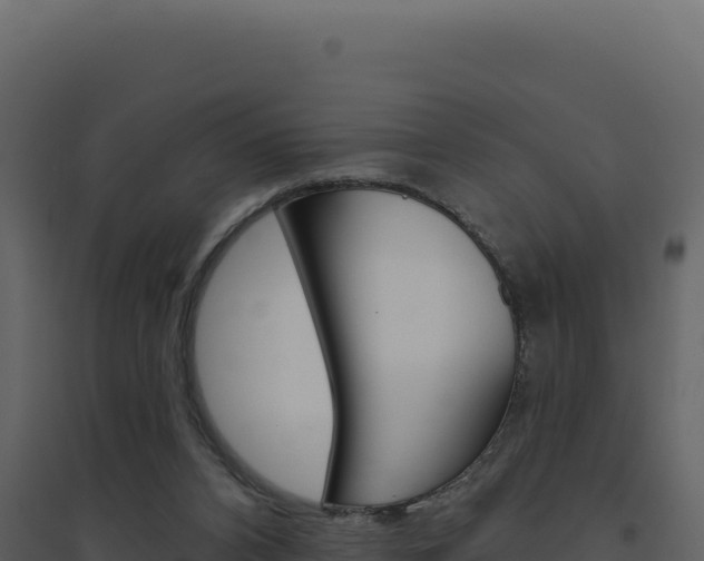 X0000094810112200711161013