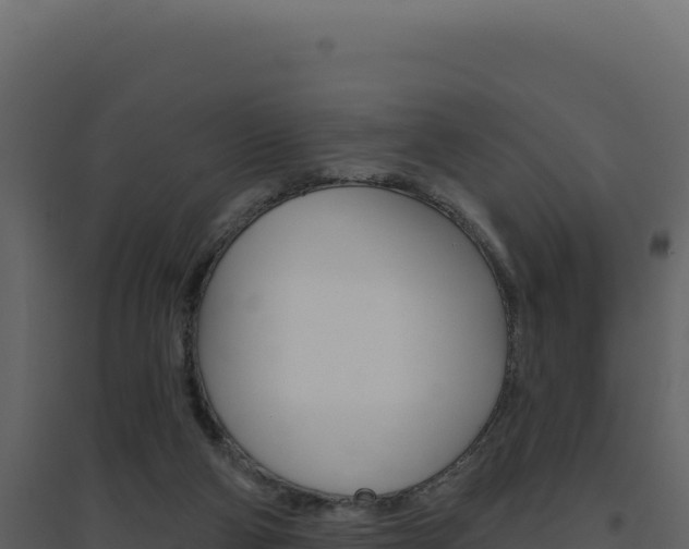 X0000094810114200711161013
