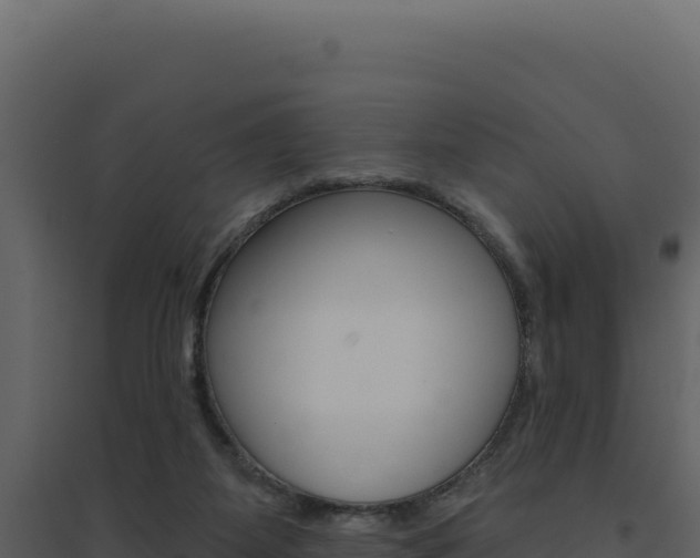 X0000094810115200711161013
