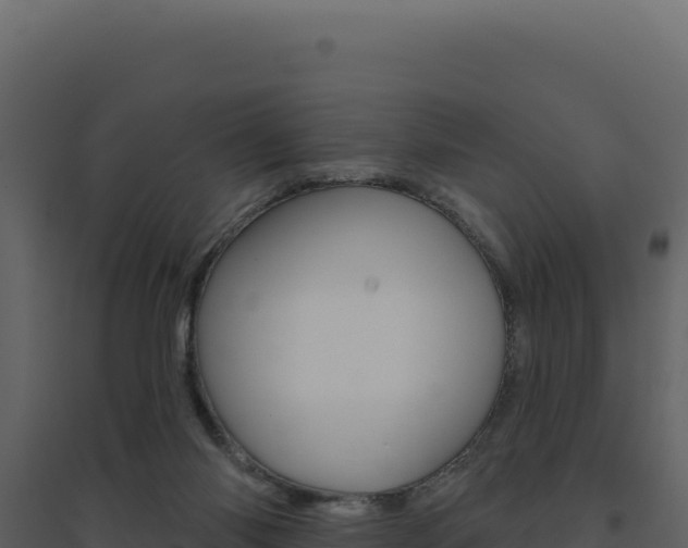 X0000094810118200711161013