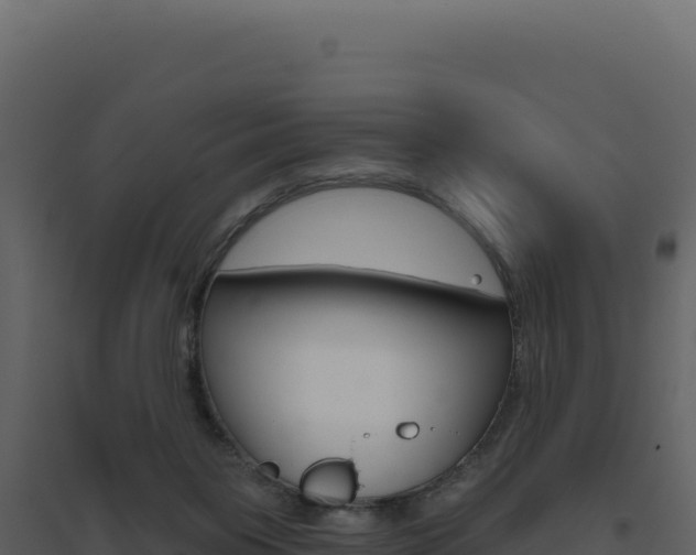 X0000094810119200711161013
