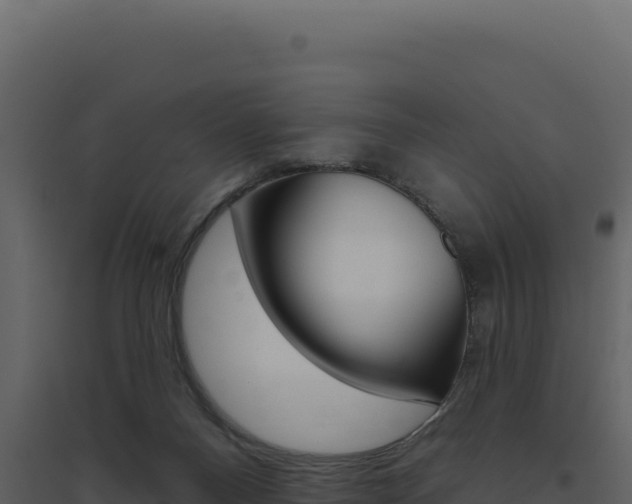 X0000094810120200711161013