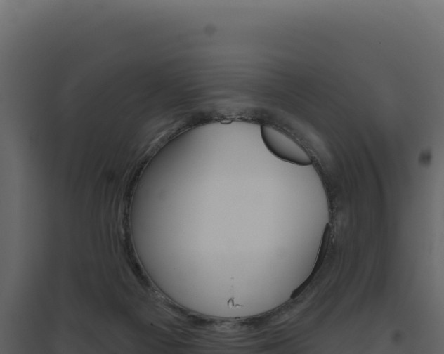 X0000094810121200711161013