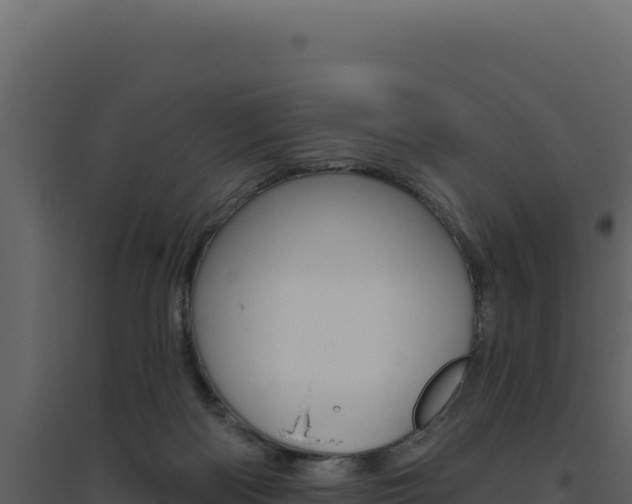 X0000094810122200711161013