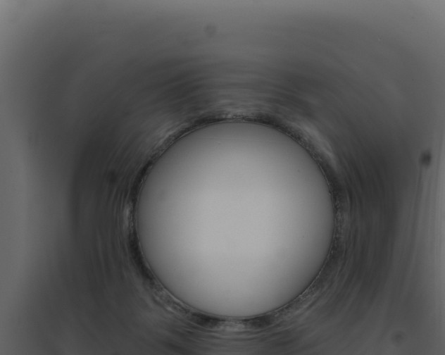 X0000094810123200711161013