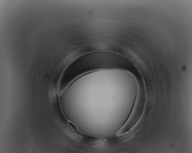 X0000094810124200711161013