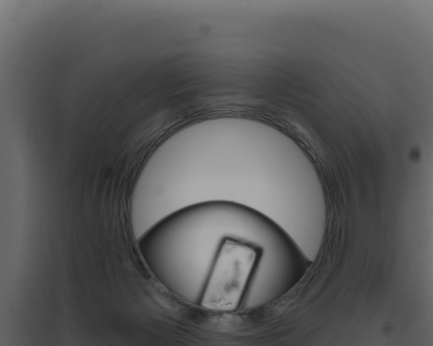 X0000094810125200711161013