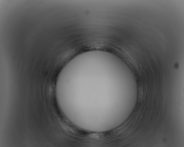 X0000094810126200711161013