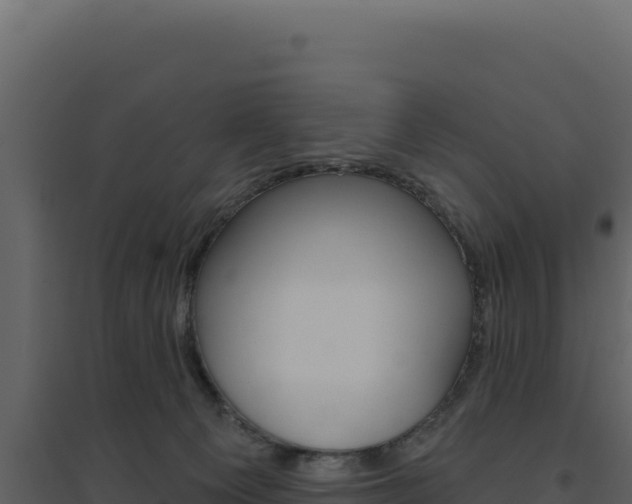 X0000094810129200711161013
