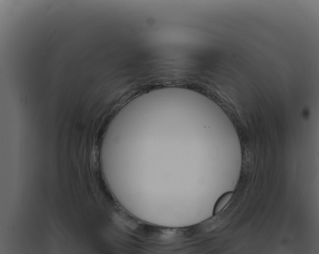 X0000094810130200711161013