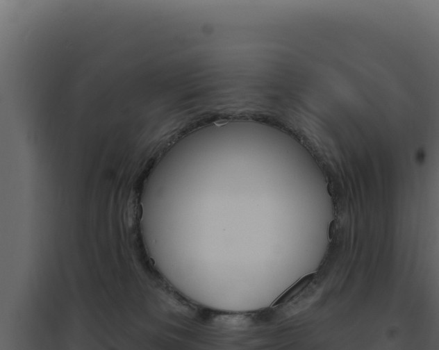 X0000094810133200711161013
