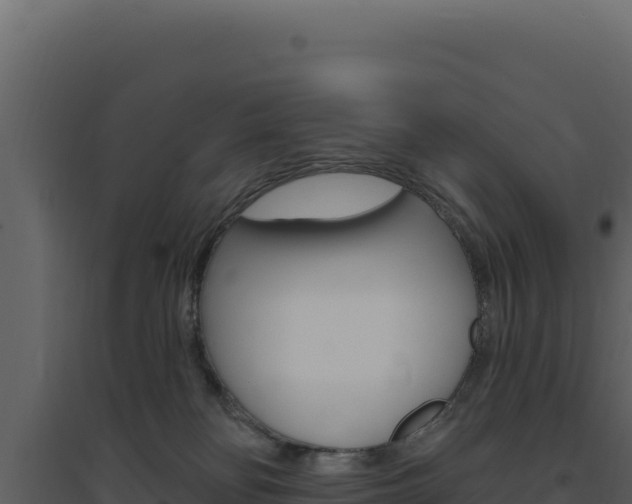 X0000094810134200711161013