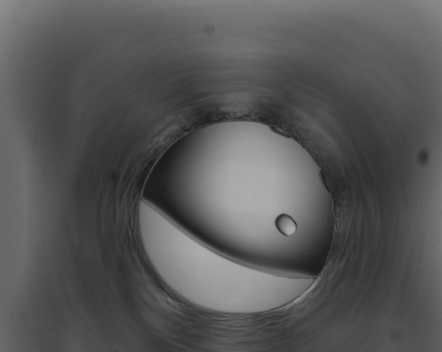 X0000094810136200711161013