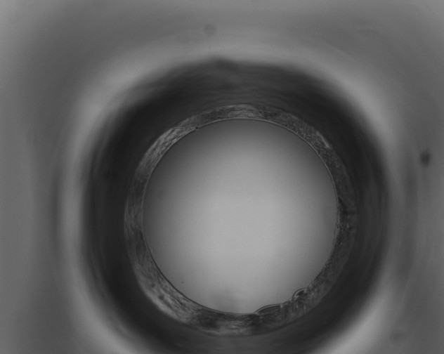 X0000094810143200711161013
