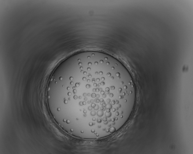 X0000094810145200711161012