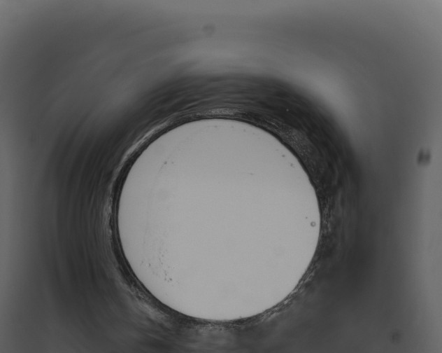 X0000094810146200711161012