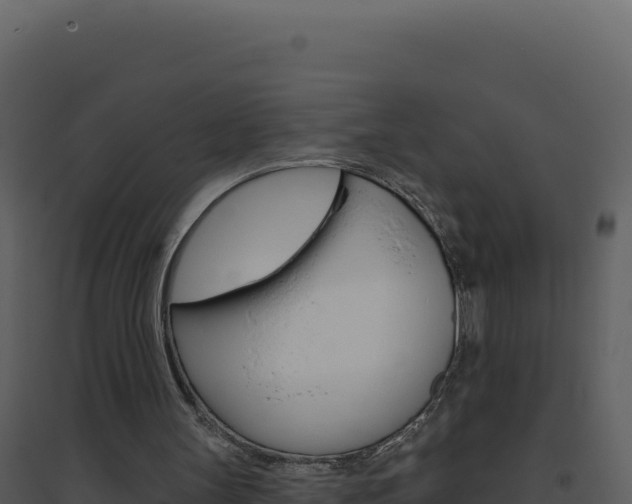 X0000094810147200711161012