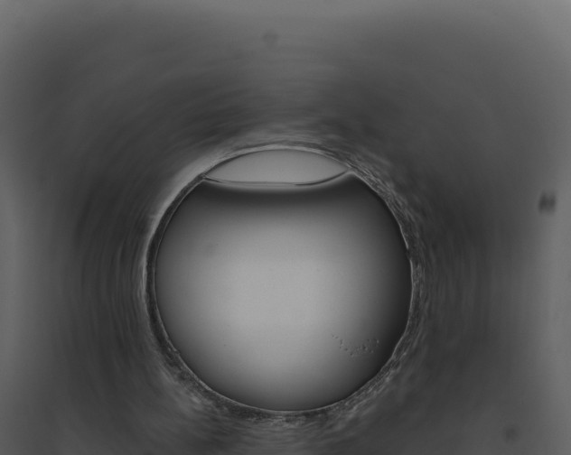 X0000094810148200711161012