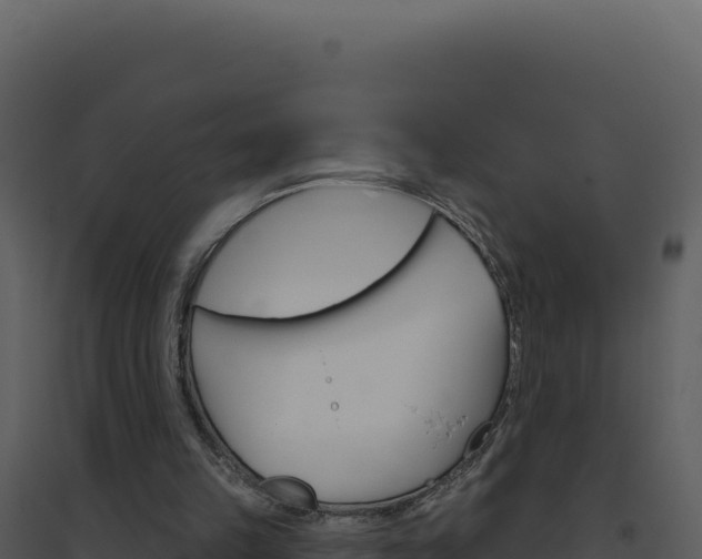 X0000094810149200711161012