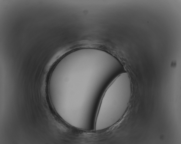 X0000094810150200711161012