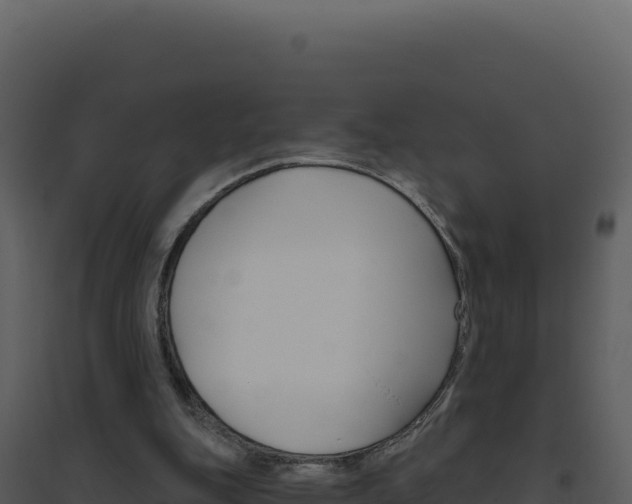 X0000094810151200711161012