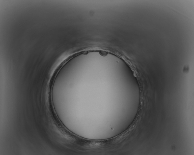 X0000094810152200711161012