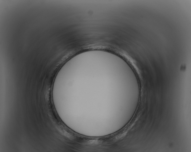 X0000094810153200711161012