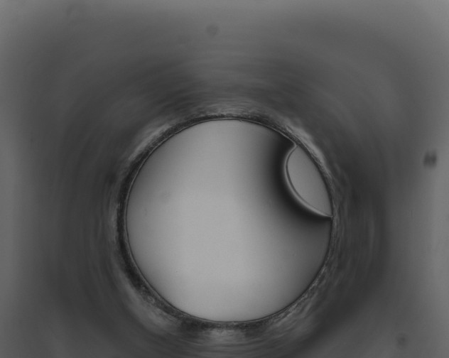 X0000094810154200711161012