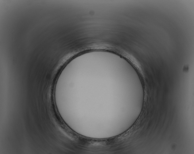 X0000094810155200711161012