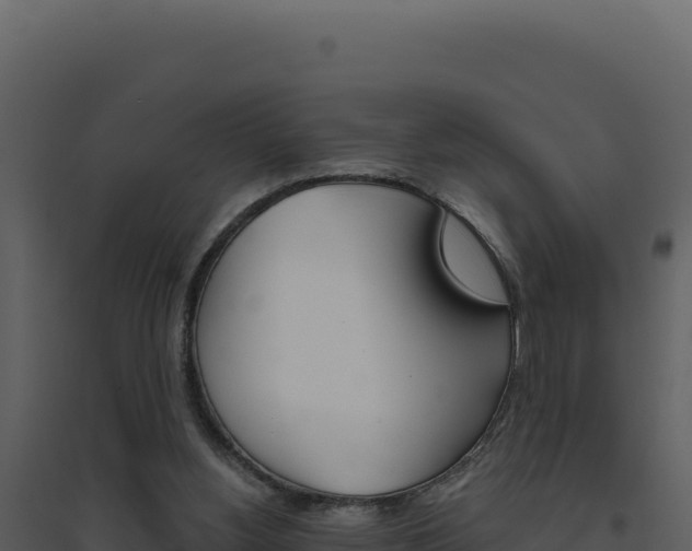 X0000094810156200711161012