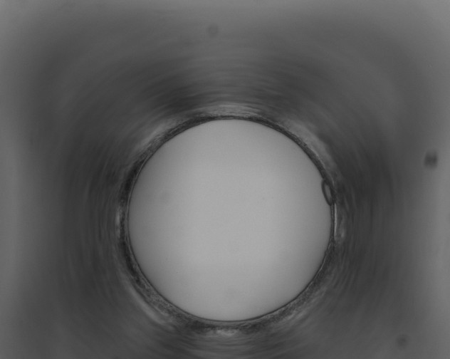 X0000094810157200711161012