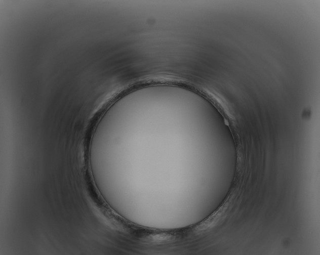 X0000094810158200711161012