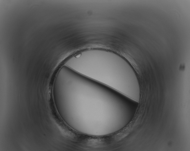 X0000094810160200711161012