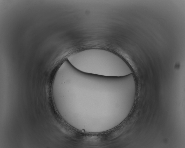 X0000094810161200711161012