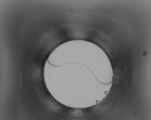 X0000094810162200711161012