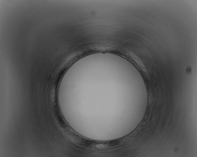 X0000094810163200711161012