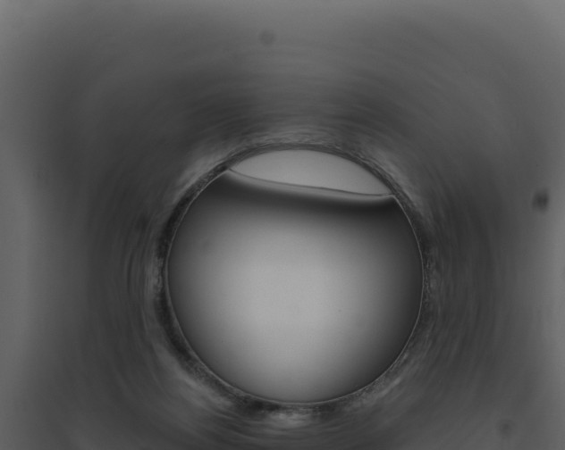 X0000094810164200711161012
