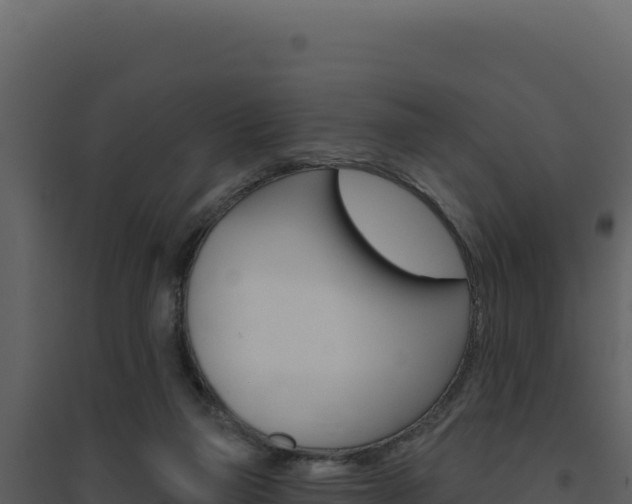 X0000094810165200711161012